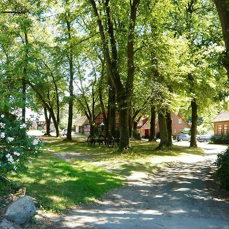 Ferienpension Lindenhof - Ferienwohnungen In Der Lueneburger Heide Marxen am Berge Kültér fotó