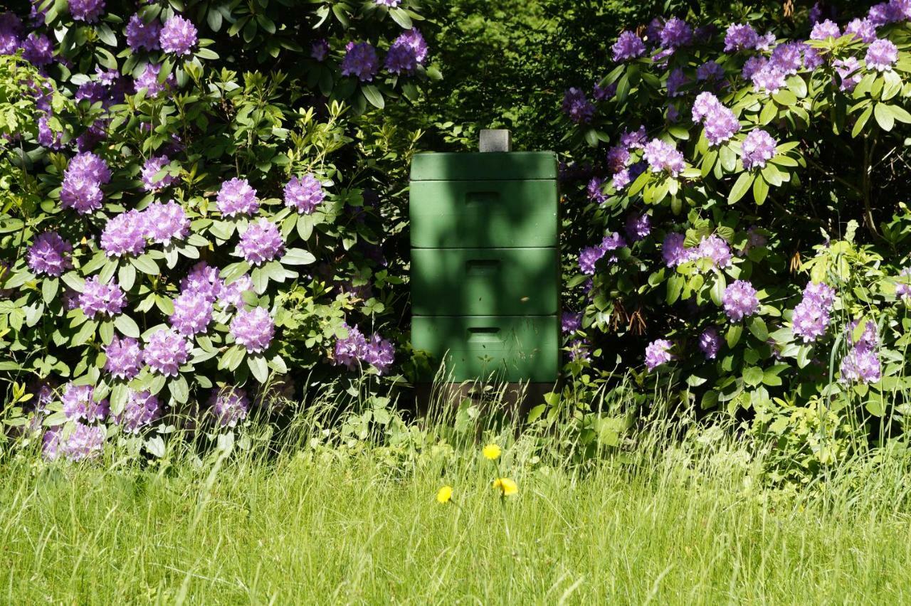 Ferienpension Lindenhof - Ferienwohnungen In Der Lueneburger Heide Marxen am Berge Kültér fotó