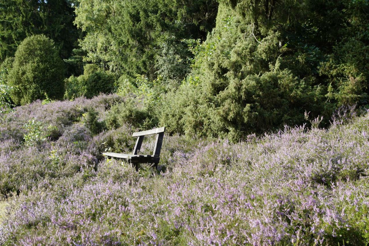 Ferienpension Lindenhof - Ferienwohnungen In Der Lueneburger Heide Marxen am Berge Kültér fotó