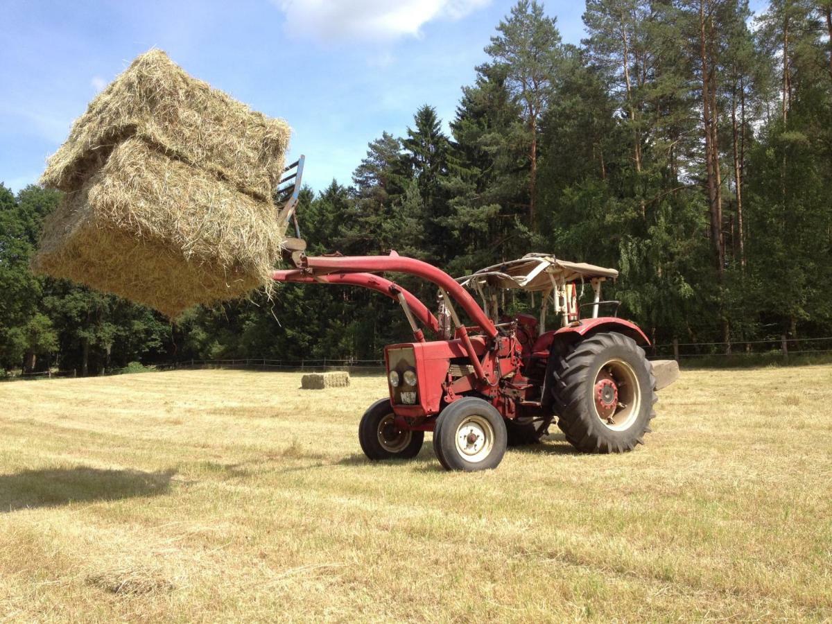 Ferienpension Lindenhof - Ferienwohnungen In Der Lueneburger Heide Marxen am Berge Kültér fotó